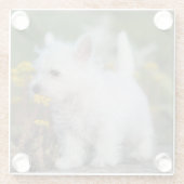 最も可愛い赤ん坊の動物 | West Highland White Terrier ガラスコースター (裏面)