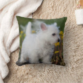 最も可愛い赤ん坊の動物 | West Highland White Terrier クッション (ブランケット)