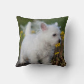 最も可愛い赤ん坊の動物 | West Highland White Terrier クッション (裏面)