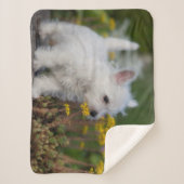 最も可愛い赤ん坊の動物 | West Highland White Terrier シェルパブランケット (正面)