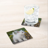 最も可愛い赤ん坊の動物 | West Highland White Terrier スクエアペーパーコースター (インサイチュ)