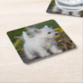 最も可愛い赤ん坊の動物 | West Highland White Terrier スクエアペーパーコースター (アングル)
