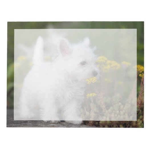 最も可愛い赤ん坊の動物 | West Highland White Terrier ノートパッド (正面)