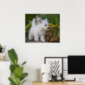 最も可愛い赤ん坊の動物 | West Highland White Terrier ポスター (ホームオフィス)