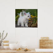 最も可愛い赤ん坊の動物 | West Highland White Terrier ポスター (キッチン)