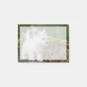 最も可愛い赤ん坊の動物 | West Highland White Terrier ポストイット (正面)