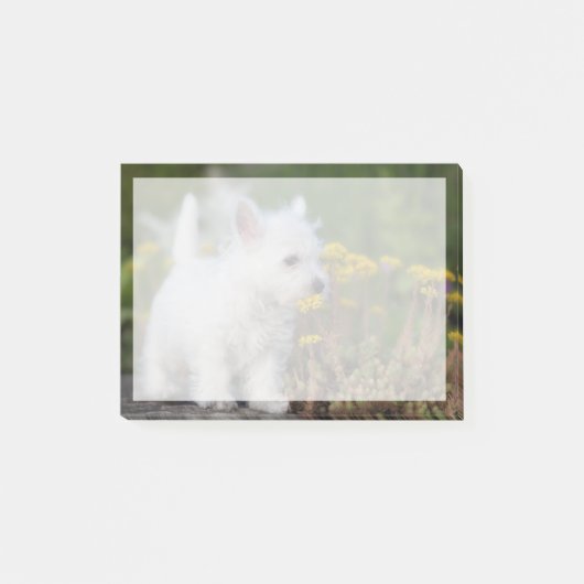 最も可愛い赤ん坊の動物 | West Highland White Terrier ポストイット (正面)