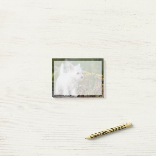 最も可愛い赤ん坊の動物 | West Highland White Terrier ポストイット (デスク上)