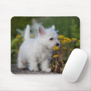 最も可愛い赤ん坊の動物   West Highland White Terrier マウスパッド