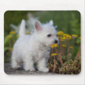 最も可愛い赤ん坊の動物 | West Highland White Terrier マウスパッド (正面)