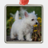 最も可愛い赤ん坊の動物 | West Highland White Terrier メタルオーナメント (正面)