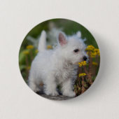 最も可愛い赤ん坊の動物 | West Highland White Terrier 缶バッジ (正面)