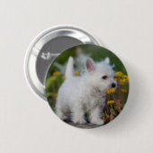 最も可愛い赤ん坊の動物 | West Highland White Terrier 缶バッジ (正面&裏面)