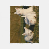 最も可愛い赤ん坊の動物 | West Highland White Tireers フリースブランケット (正面)