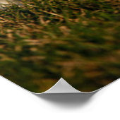 最も可愛い赤ん坊の動物 | West Highland White Tireers ポスター (角)