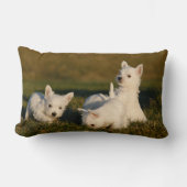 最も可愛い赤ん坊の動物 | West Highland White Tireers ランバークッション