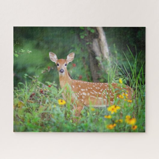 最も可愛い赤ん坊の動物 | White Tail Deer in Deerデイジー ジグソーパズル (横)