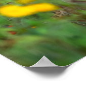 最も可愛い赤ん坊の動物 | White Tail Deer in Deerデイジー ポスター (角)