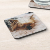 最も可愛い赤ん坊の動物 | Yorkshire Terrier コースター (左側)