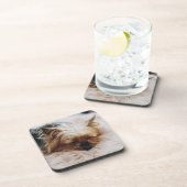 最も可愛い赤ん坊の動物 | Yorkshire Terrier コースター (右側)