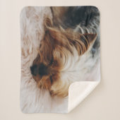 最も可愛い赤ん坊の動物 | Yorkshire Terrier シェルパブランケット (正面)