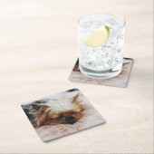 最も可愛い赤ん坊の動物 | Yorkshire Terrier スクエアペーパーコースター (インサイチュ)