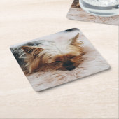 最も可愛い赤ん坊の動物 | Yorkshire Terrier スクエアペーパーコースター (アングル)