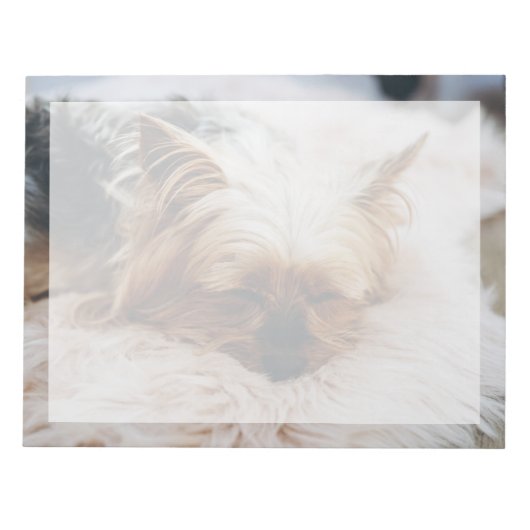 最も可愛い赤ん坊の動物 | Yorkshire Terrier ノートパッド (正面)
