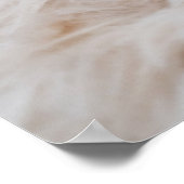 最も可愛い赤ん坊の動物 | Yorkshire Terrier ポスター (角)