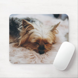 最も可愛い赤ん坊の動物 Yorkshire Terrier マウスパッド