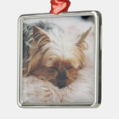 最も可愛い赤ん坊の動物 | Yorkshire Terrier メタルオーナメント (左)