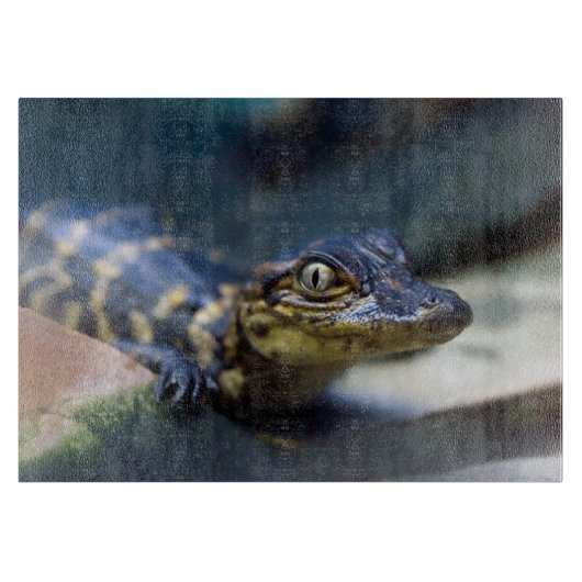 最も可愛い赤ん坊の動物 | Young Aligator カッティングボード (正面)