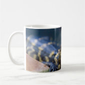 最も可愛い赤ん坊の動物 | Young Aligator コーヒーマグカップ (左)