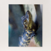 最も可愛い赤ん坊の動物 | Young Aligator ジグソーパズル (縦)