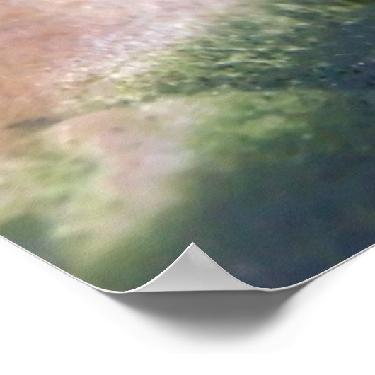 最も可愛い赤ん坊の動物 | Young Aligator ポスター (角)