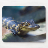 最も可愛い赤ん坊の動物 | Young Aligator マウスパッド (正面)