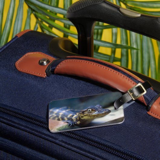 最も可愛い赤ん坊の動物 | Young Aligator ラゲッジタグ (正面インサイチュ3)