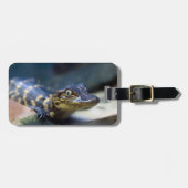 最も可愛い赤ん坊の動物 | Young Aligator ラゲッジタグ (正面横)