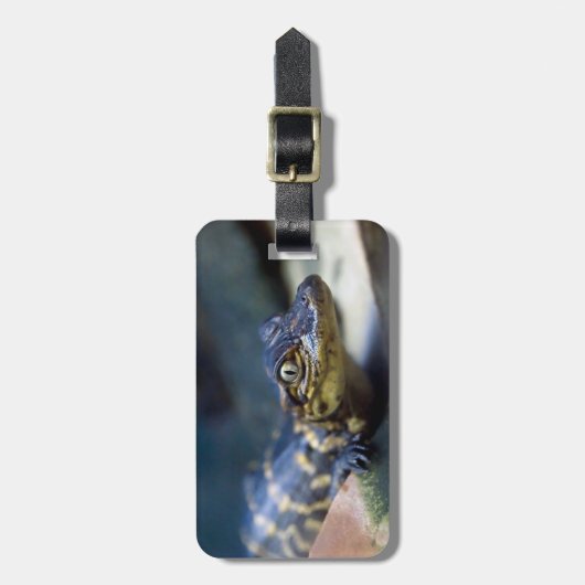 最も可愛い赤ん坊の動物 | Young Aligator ラゲッジタグ (正面縦)