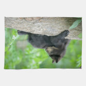 最も可愛い赤ん坊の動物 | Young Black Bear Cub キッチンタオル (横)