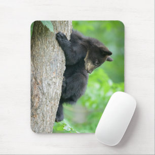 最も可愛い赤ん坊の動物   Young Black Bear Cub マウスパッド
