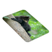最も可愛い赤ん坊の動物 | Young Black Bear Cub マグネット (右側)