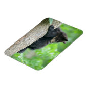 最も可愛い赤ん坊の動物 | Young Black Bear Cub マグネット (左側)