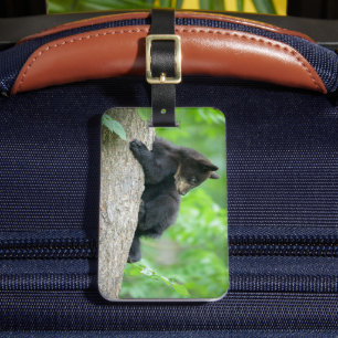 最も可愛い赤ん坊の動物 Young Black Bear Cub ラゲッジタグ