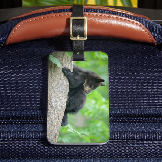 最も可愛い赤ん坊の動物 | Young Black Bear Cub ラゲッジタグ (正面インサイチュ2)