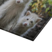 最も可愛い赤ん坊の動物 | Young Blonde Raccoons カッティングボード (角)