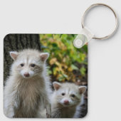 最も可愛い赤ん坊の動物 | Young Blonde Raccoons キーホルダー (裏面)