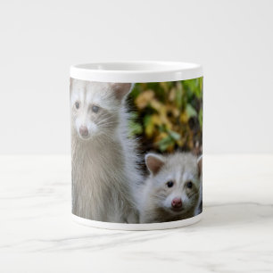 最も可愛い赤ん坊の動物 Young Blonde Raccoons ジャンボコーヒーマグカップ