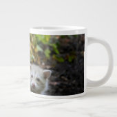 最も可愛い赤ん坊の動物 | Young Blonde Raccoons ジャンボコーヒーマグカップ (右)