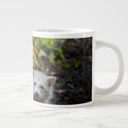 最も可愛い赤ん坊の動物 | Young Blonde Raccoons ジャンボコーヒーマグカップ (右)